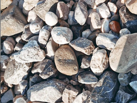 Klimavolksbegehren 🙌🏻💚