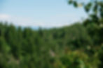 sharpened_DSC6415.jpg