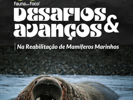 Desafios e Avanços na Reabilitação de Mamíferos Marinhos: Um Panorama Global