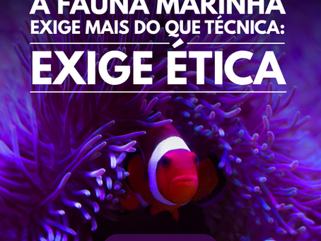 ÉTICA NO MONITORAMENTO | Prof. Leandro Coelho