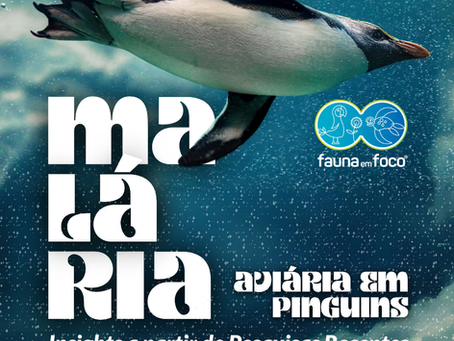 Malária Aviária em Pinguins: Insights a partir de Pesquisas Recentes