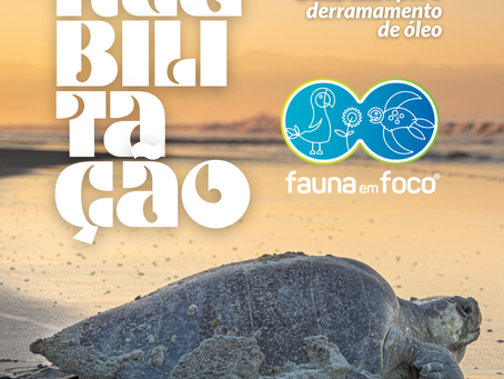 Estudo de Caso: Reabilitação de Tartaruga Oliva Após Derramamento de Óleo