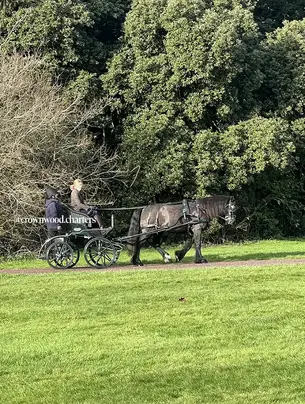 A meticulously curated bespoke travel experience in Windsor with a private carriage ride, showcasing the attention to detail and personalised service provided by Crownwood Charters.