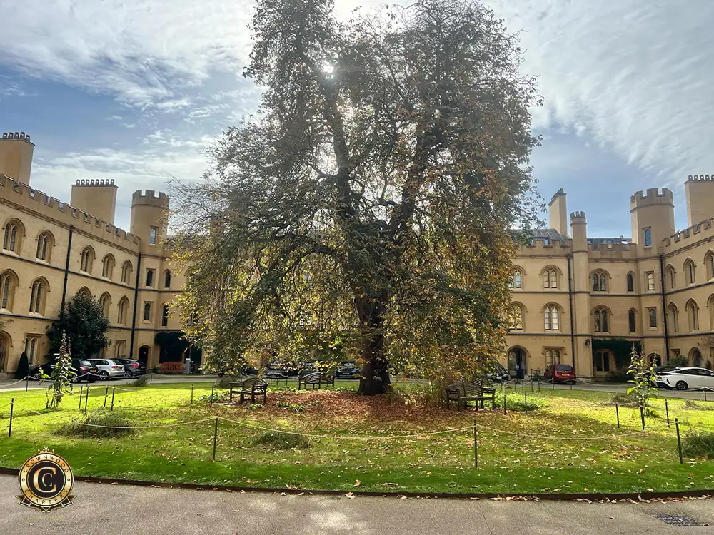 Newtons' apple tree in Trinity College, Cambridge