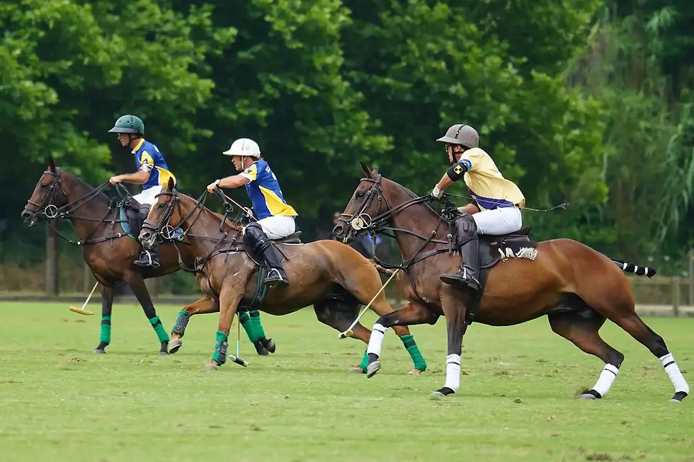 Photo by Жанна  Алимкулова : https://www.pexels.com/photo/intense-polo-match-on-green-playing-field-31281858/