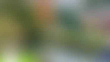 A scenic view of the River Eye and the stone buildings of Lower Slaughter.