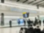 heathrow-airport-international-arrivals-crownwood-charters.webp