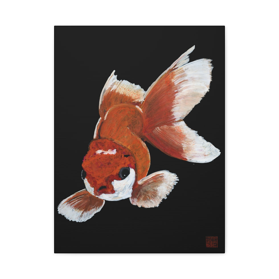 Thumbnail: Lionhead Goldfish | Stretched Matte Canvas