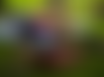 Noslēdzies atbalsta projekts jaunatnes darbinieku un palīdzošo speciālistu garīgajai veselībai un labsajūtai