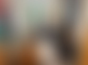 Ukrainas delegācijas mācību vizīte Latvijā