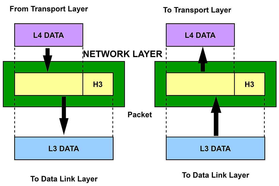 Transmission of Packets from the Network Layer