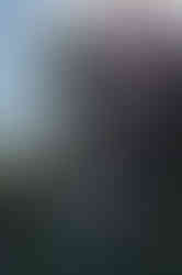 In Nature Series photo 4