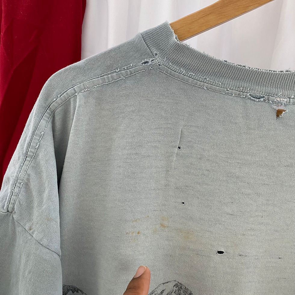 Thumbnail: VINTAGE COLORADO ALL OVER PRINT NATURE TEE