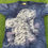 Thumbnail: VINTAGE THE MOUNTAIN WHITE TIGER TIE-DYE ANIMAL TEE