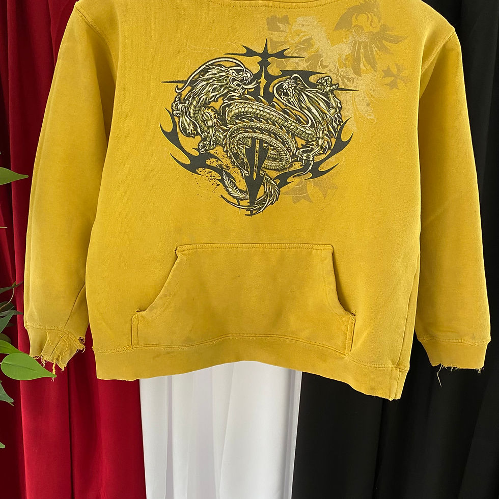 Thumbnail: Y2K TOP HEAVY DRAGONS HOODIE