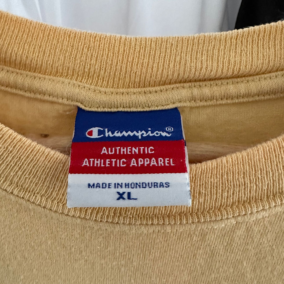 Thumbnail: CHAMPION NOTRE DAME TEE