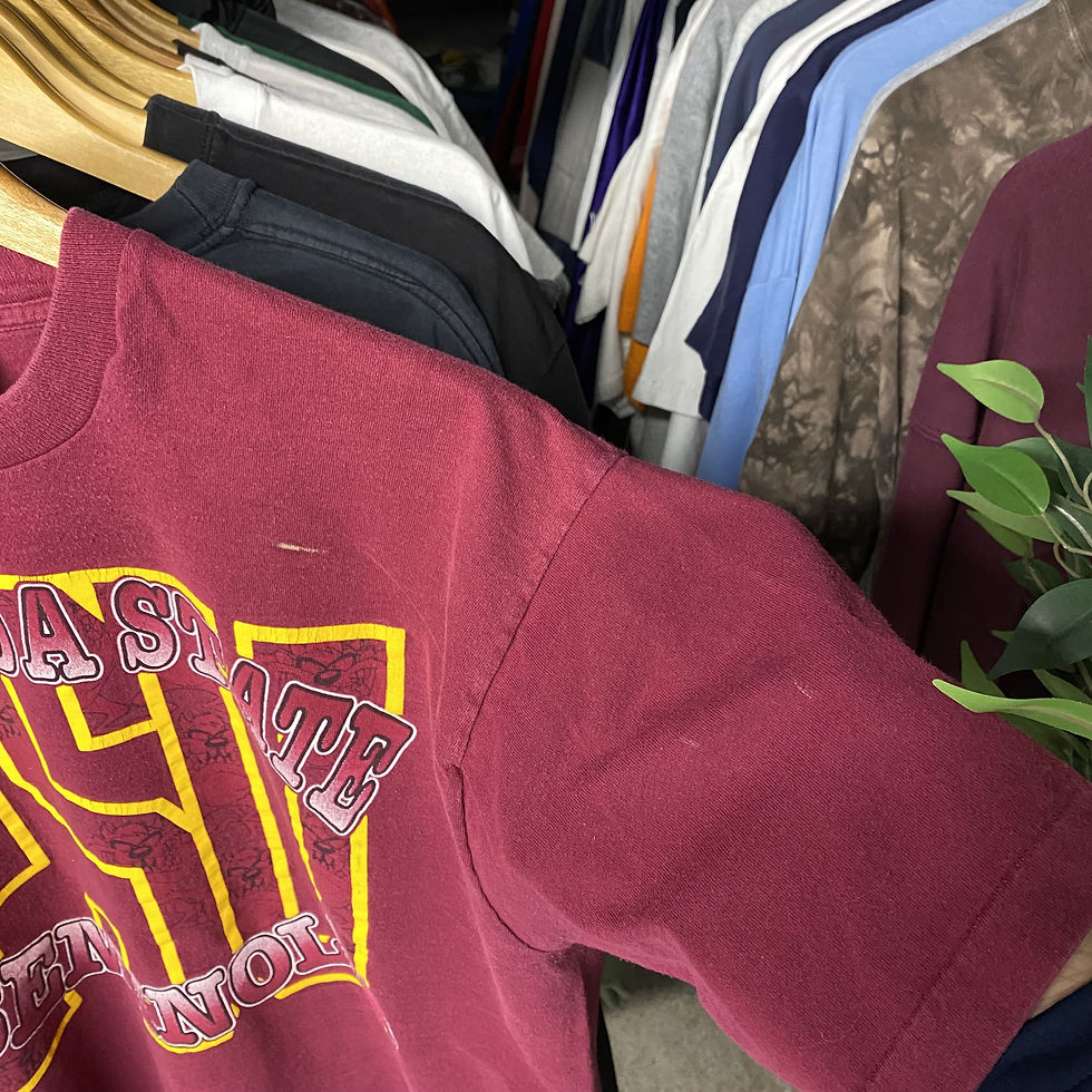 Thumbnail: VINTAGE 1995 TAZ FLORIDA STATE SEMINOLES TEE