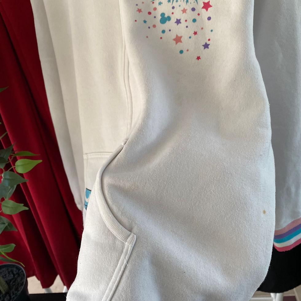 Thumbnail: 2013 WALT DISNEY WORLD FULL ZIP STRIPED HOODIE