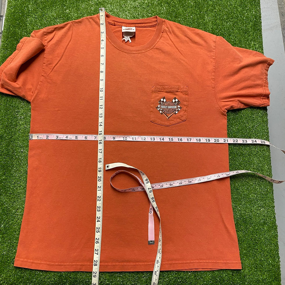 Thumbnail: VINTAGE 2006 HARLEY-DAVIDSON SANFORD FLORIDA TEE