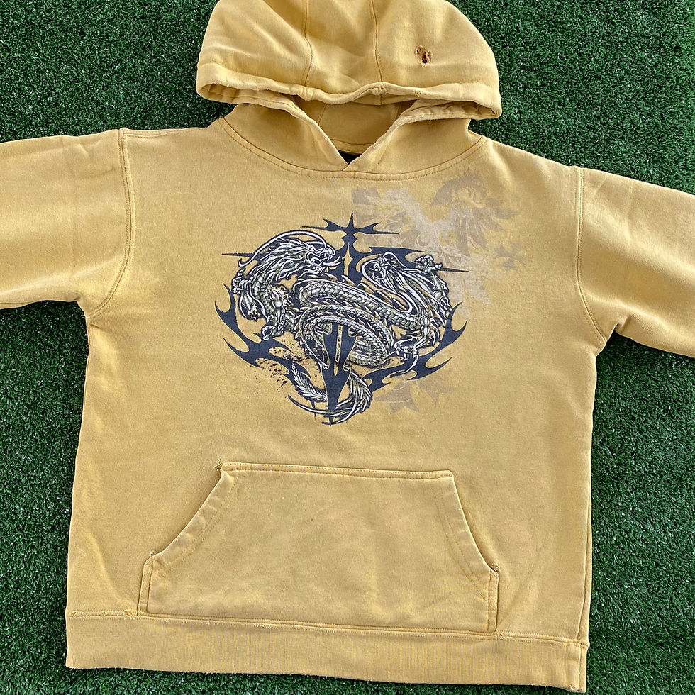 Thumbnail: Y2K TOP HEAVY DRAGONS HOODIE