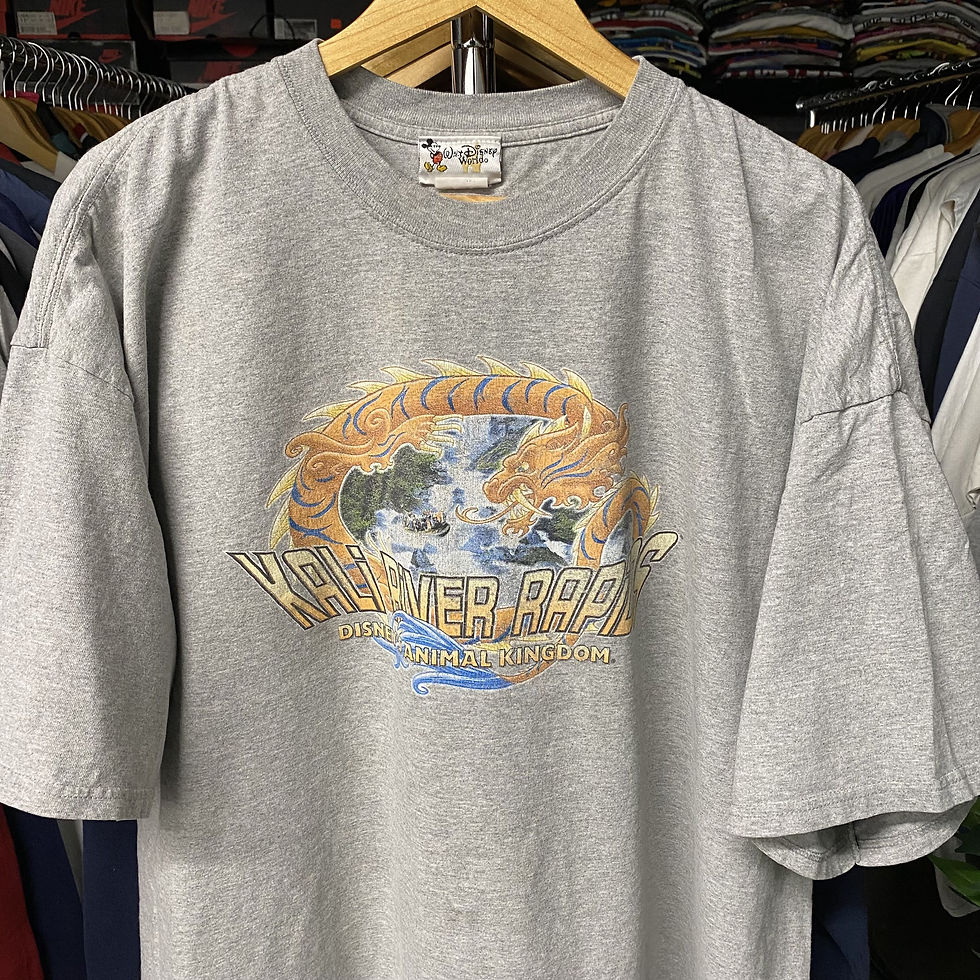 Thumbnail: VINTAGE DISNEY'S ANIMAL KINGDOM KALI RIVER RAPIDS TEE