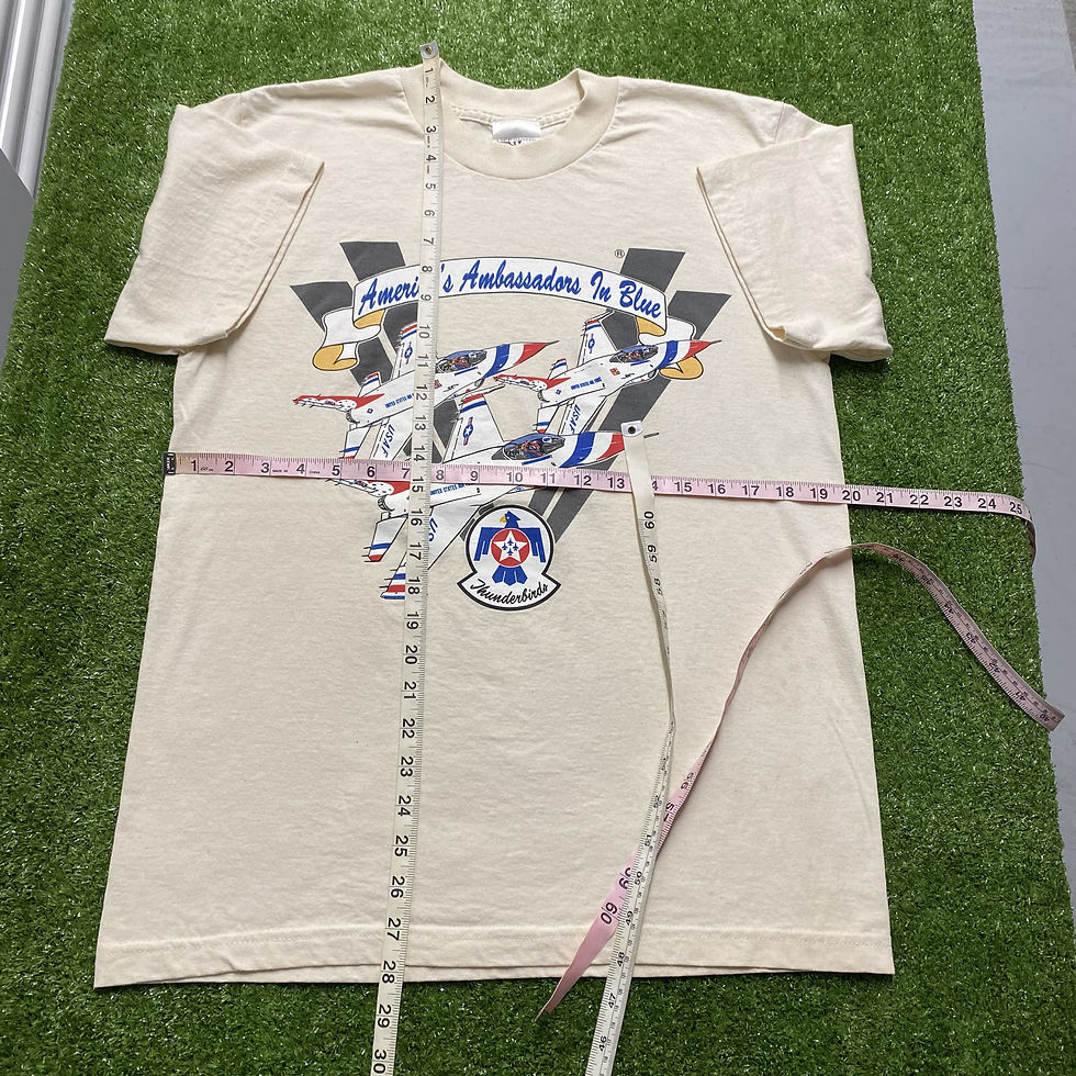 Thumbnail: VINTAGE AMERICA'S AMBASSADORS THUNDERBIRDS TEE