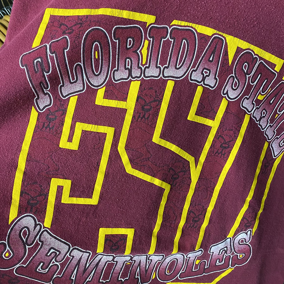 Thumbnail: VINTAGE 1995 TAZ FLORIDA STATE SEMINOLES TEE