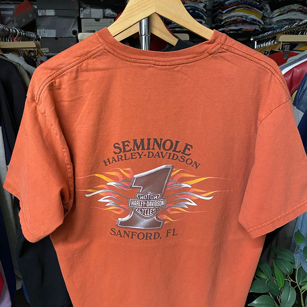 Thumbnail: VINTAGE 2006 HARLEY-DAVIDSON SANFORD FLORIDA TEE