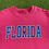 Thumbnail: FLORIDA SPELLOUT CREWNECK