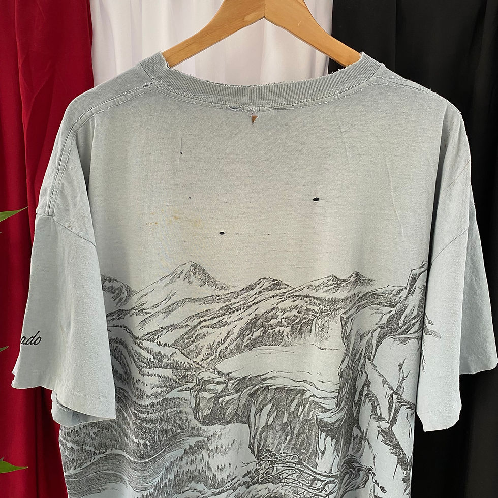 Thumbnail: VINTAGE COLORADO ALL OVER PRINT NATURE TEE