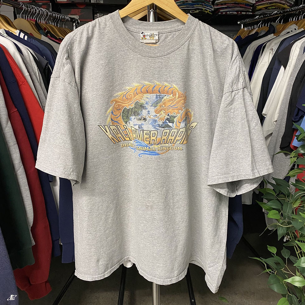 Thumbnail: VINTAGE DISNEY'S ANIMAL KINGDOM KALI RIVER RAPIDS TEE