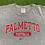 Thumbnail: VINTAGE NIKE CENTER SWOOSH PALMETTO FOOTBALL TEE