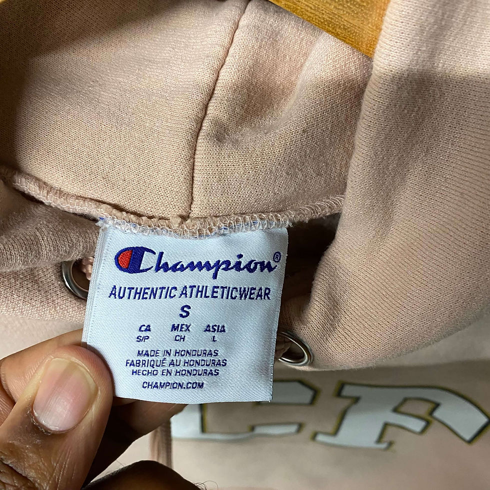 Thumbnail: CHAMPION UCF KNIGHTS HOODIE PINK