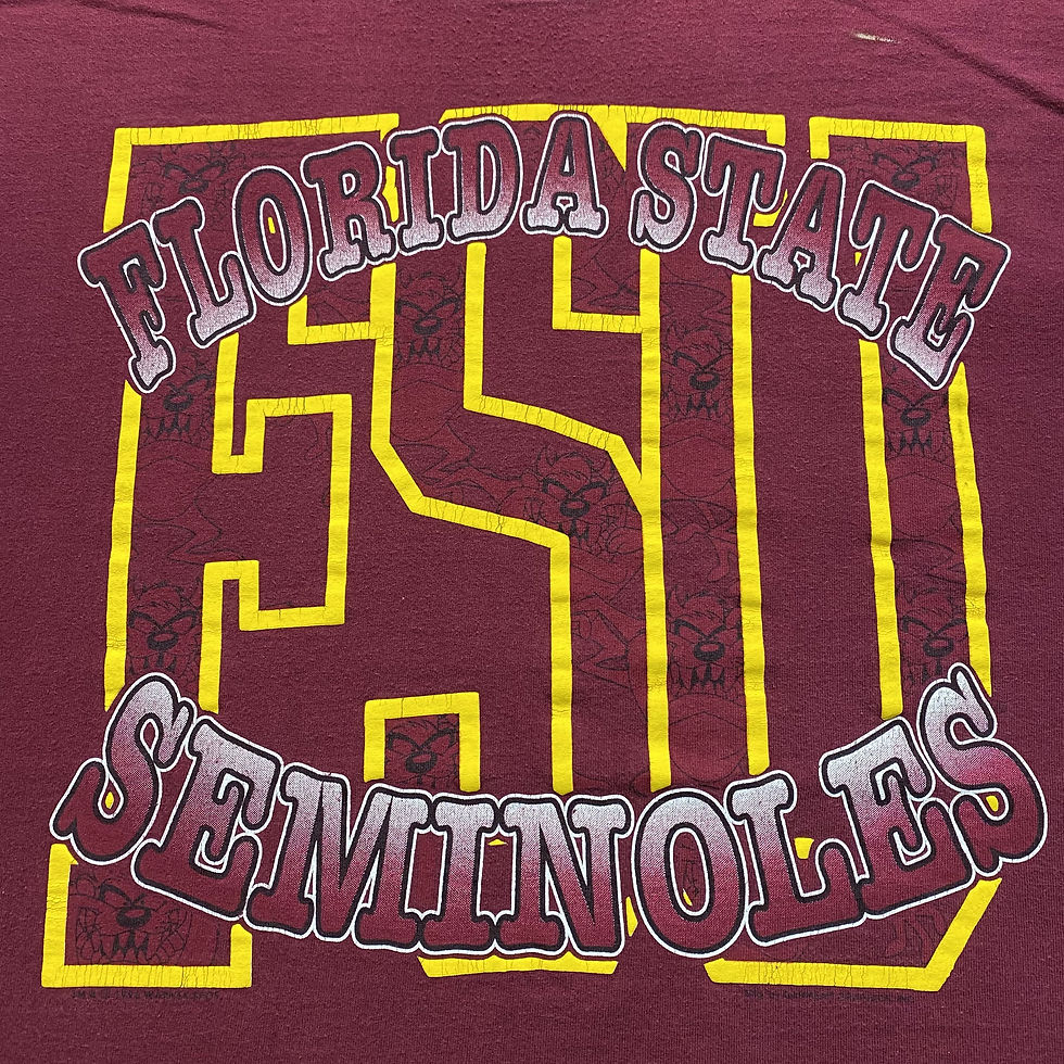Thumbnail: VINTAGE 1995 TAZ FLORIDA STATE SEMINOLES TEE