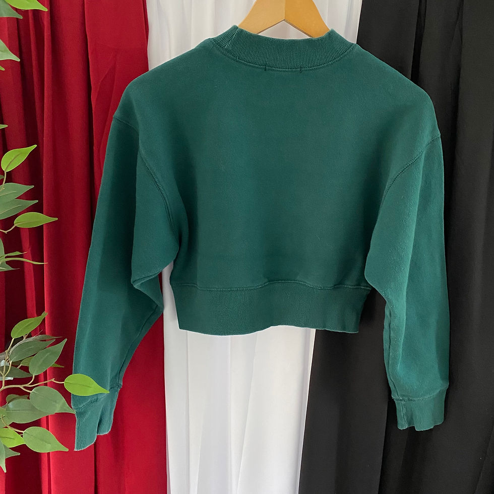 Thumbnail: BOULDER COLORADO CROP TOP MOCK NECK SWEATSHIRT