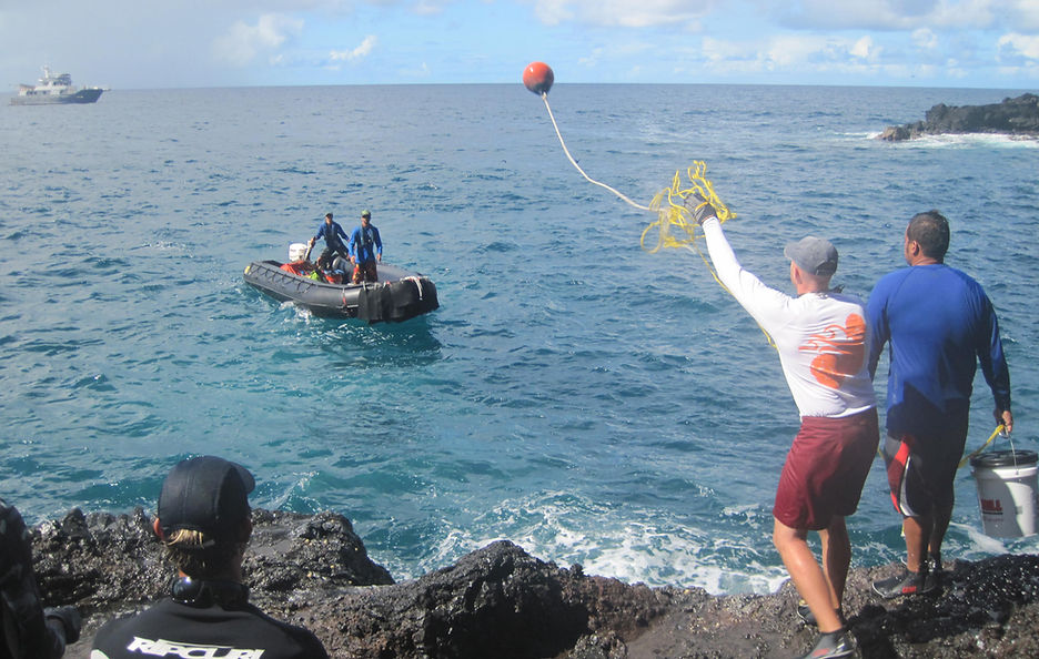 zodiac driving 3.JPG