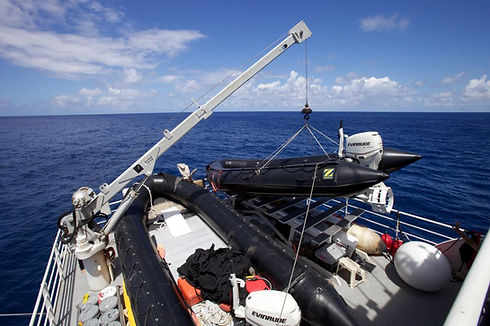 lifting zodiac 2.jpg