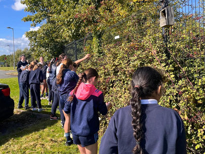 Blackberry Picking