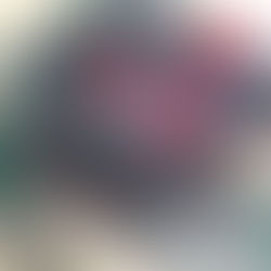 Blog 78 - Carefree Days