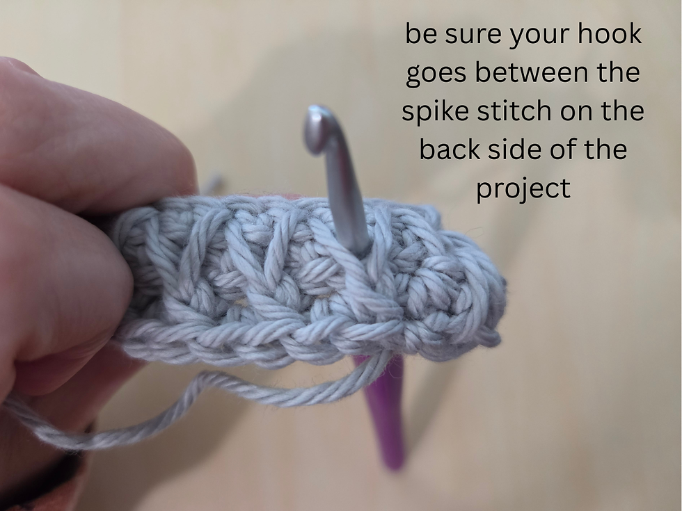 Back of the Honeycomb Stitch showing the hook inserted between the upside-down V formed by the spike stitch.