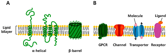 ijms-20-01437-g001.png