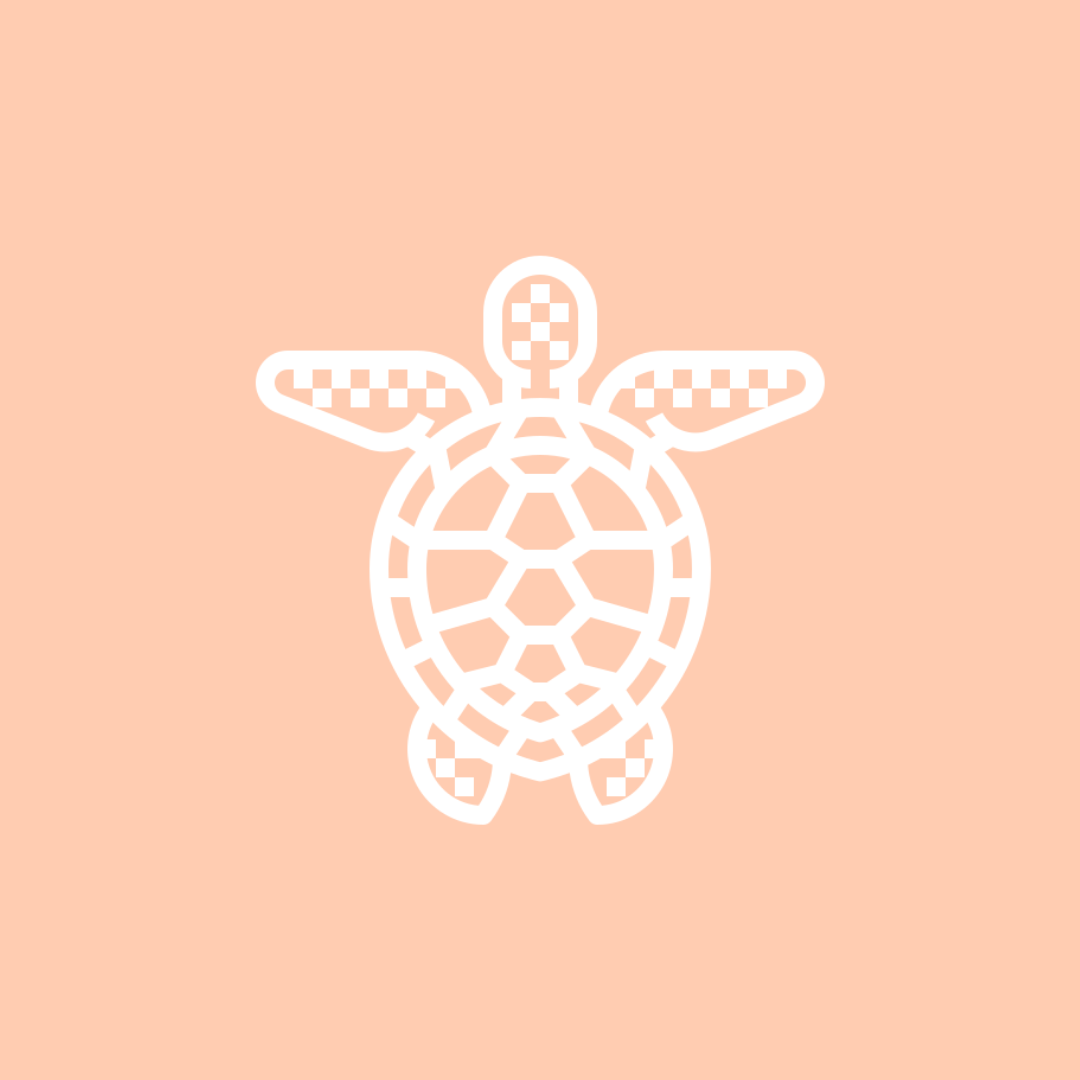 Histoire de Shaka Loa - Restaurant Hawaîen à Paris - Crêpes, Gaufres, Smoothies, Açaï bowl, Poke bowl, option vegan, gluten free