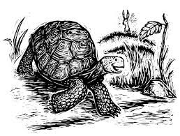 Forgiveness as a WISER Practice