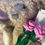 Thumbnail: Anastasia Angel Platinum Bear