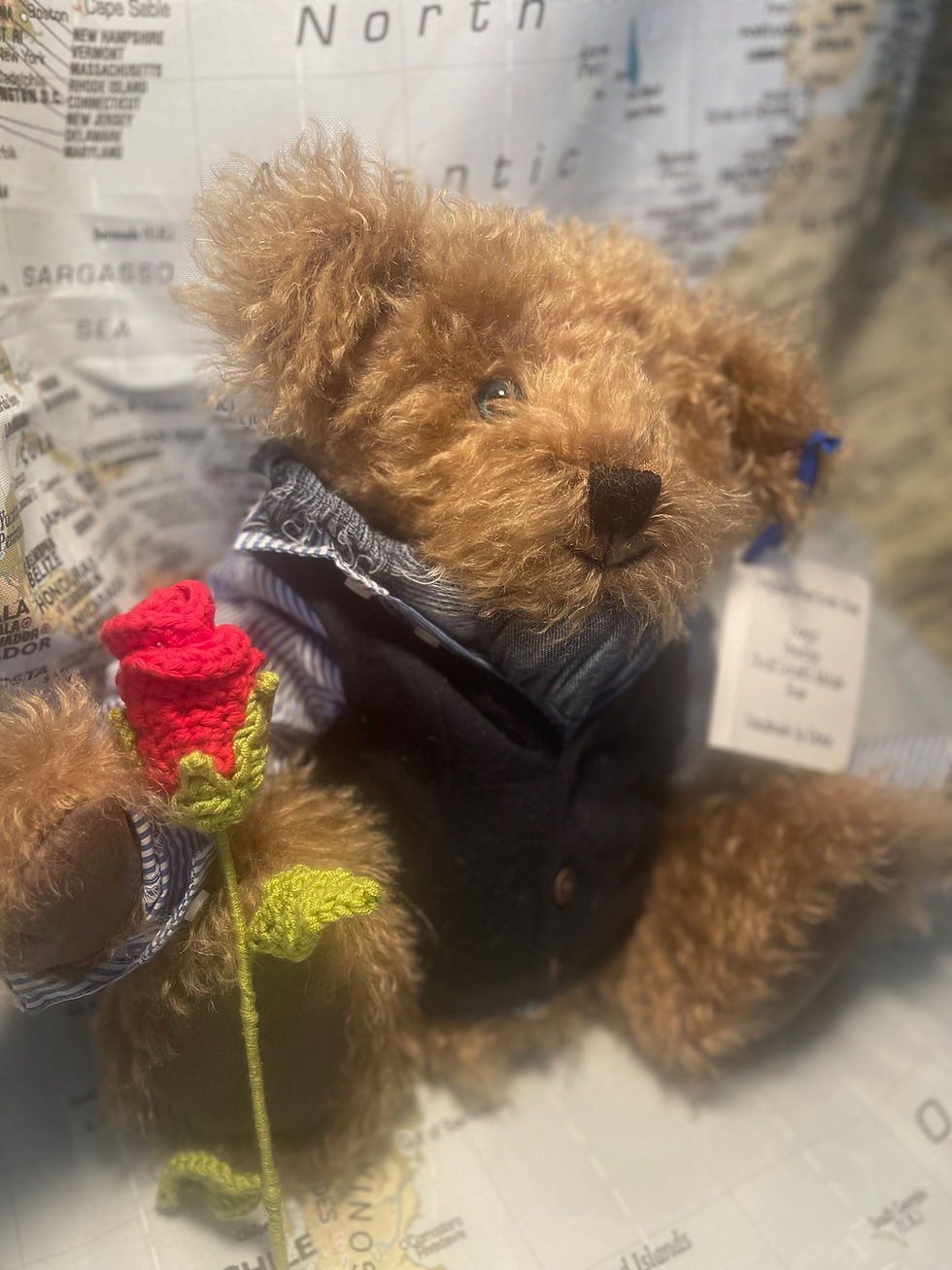 Thumbnail: Fergal Cinnamon Long Mohair Chap!