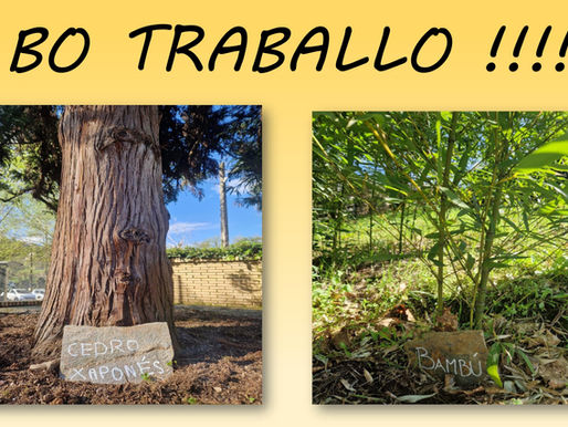 Día da árbore con Eduinnova.