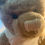 Thumbnail: Tradional Steiff schulte fur Mohair Bear