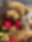 Big bear Valentines.JPEG
