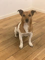 IMG_0853.jpeg