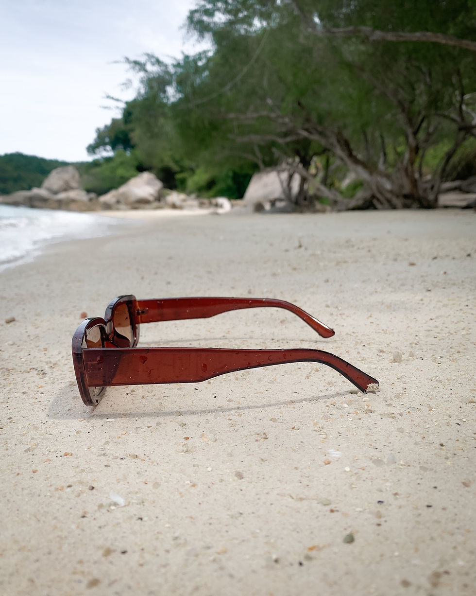 섬네일: 루네트 드 아리아나 선글라스